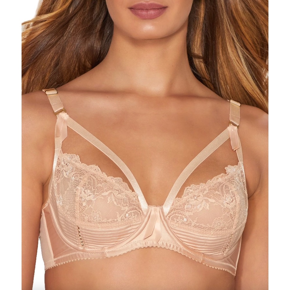DITA VON TEESE Burlesque Madame x Demi Cage Bra
